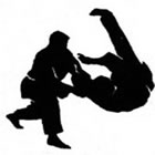 Hapkido em Bertioga