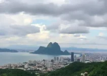programação especial de literatura