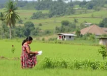 regularização fundiária