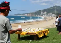 Quina de São João 2026