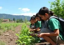 educação ambiental