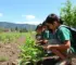 educação ambiental