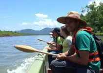 educação ambiental