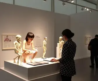 Bertioga é selecionada para a 4ª Mostra Nacional de Práticas em Psicologia no SUAS