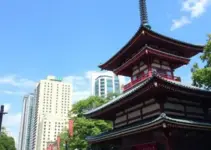 Bertioga Matsuri