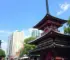 Bertioga Matsuri