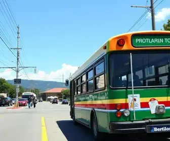 transporte público gratuito